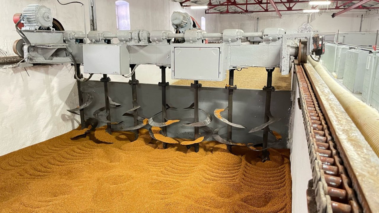 Как производится первый российский солодовый виски: сырьё и соложение